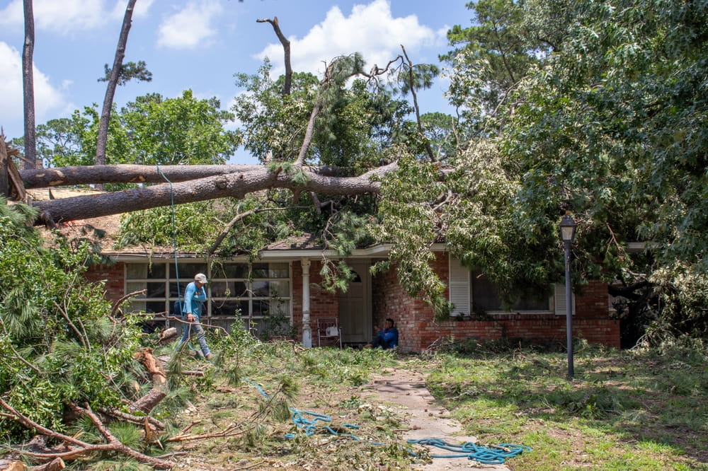 Árbol caído sobre una vivienda en Florida debido a daños por viento durante una tormenta severa