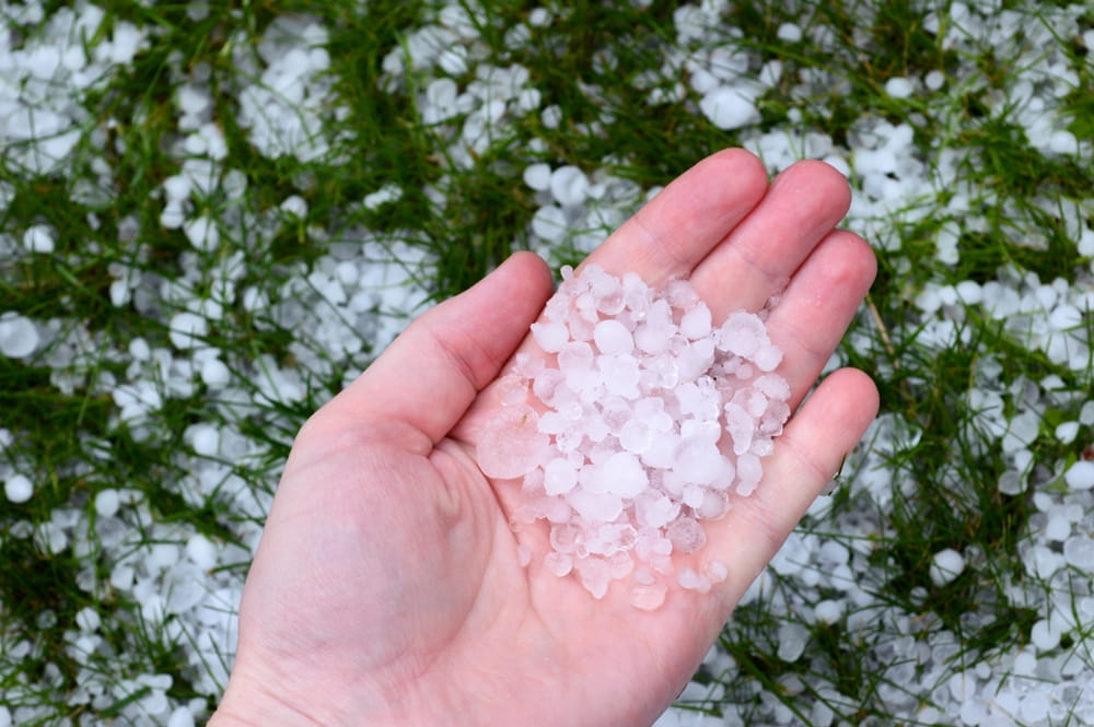 Granizo acumulado en la mano después de una tormenta severa que causó daños a viviendas en Florida