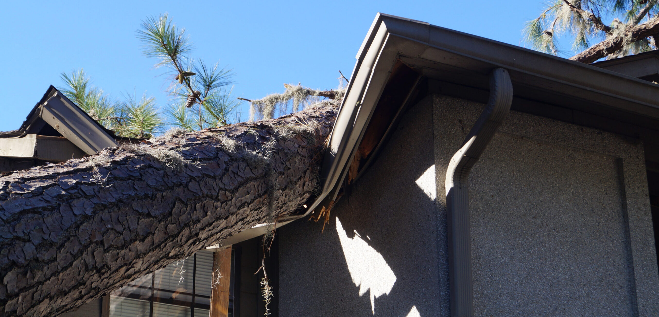 Storm and property damage